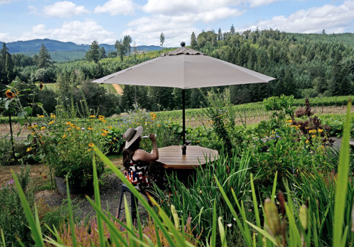 The Best Time to Explore the Wineries in Lane County, Oregon